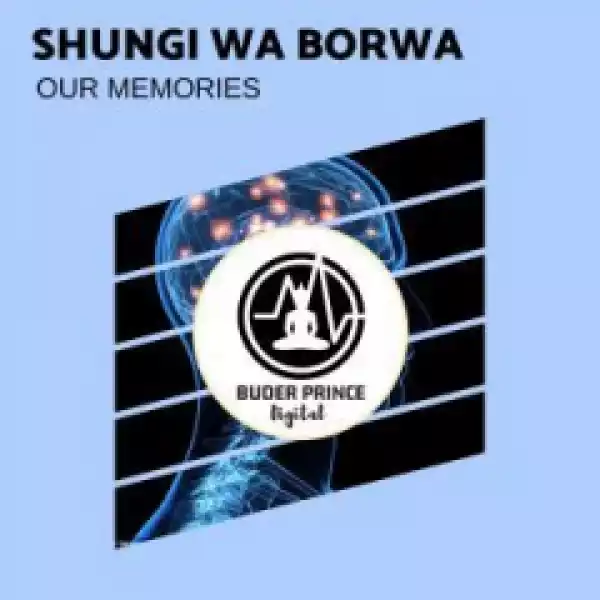 Shungi Wa Borwa - Our Memories(Original Mix)
